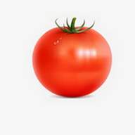 WWW,av488·COM网站APPAPP应用
